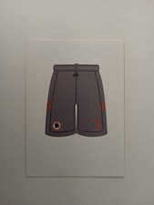 FIGURINA AS ROMA LE FIGURINE ERREDI 2012/13 LA TERZA MAGLIA DEL PORTIERE n 112