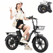 Bicicletta Elettrica