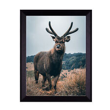 Cornice per poster, cornice per foto RIO, molte dimensioni e colori, cornice per foto, cornice intercambiabile