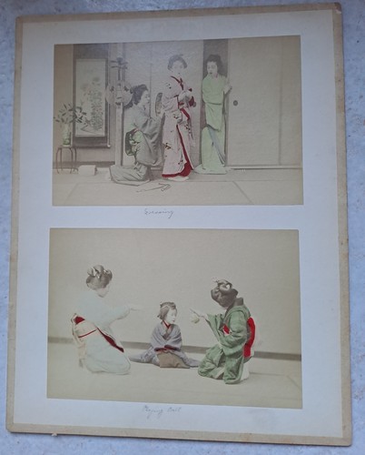 Fotografie cartone rigido - 4,
