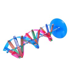 Modello a doppia del DNA: kit