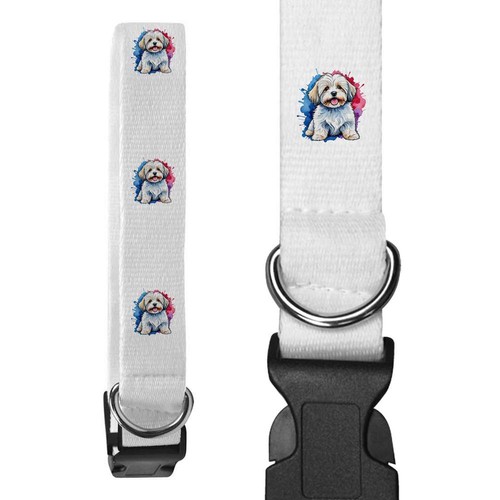 Collari per cani - , 'cane