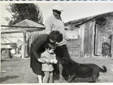 🐕 Foto famiglia donna uomo