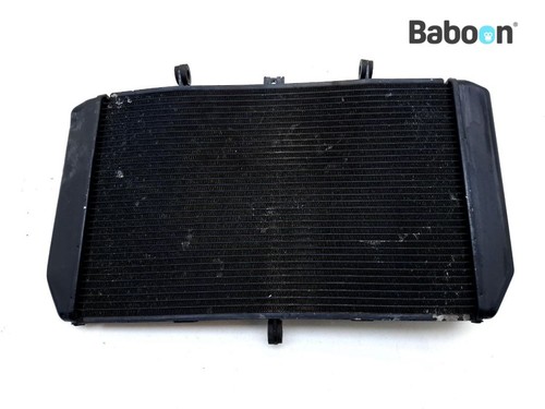 Radiator kawasaki 1000 - radiator, z
