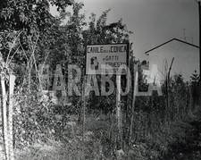 Foto Vintage Animali Binasco Il canile del signor Gatti anni 60 stampa 21x27 cm