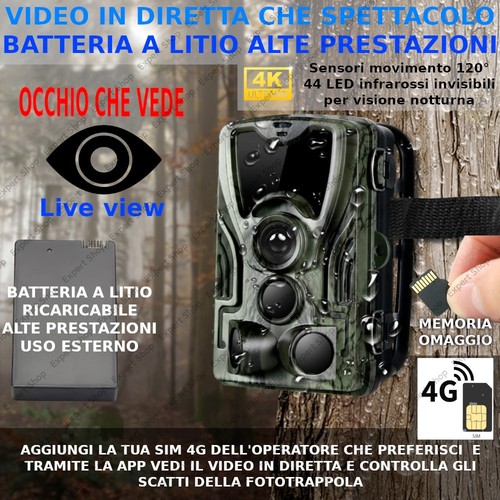 Fototrappola professionale - fototrappola, 4k