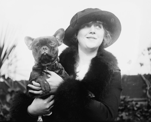 Donna con bulldog francese - donna,