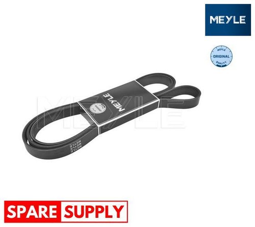 Cinghie per vw - v,