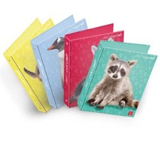 Pigna - CF5 RACCOGLITORI AD