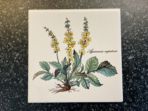 Villeroy boch botanica - villeroy, &