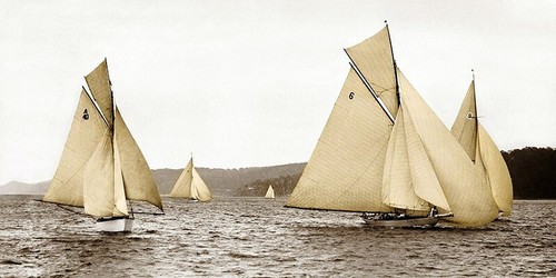 Quadro barca vela sloop - barca,