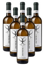 Vino Bianco Falanghina