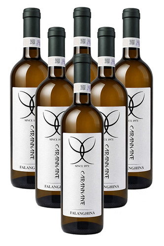 Vino bianco falanghina - bianco,