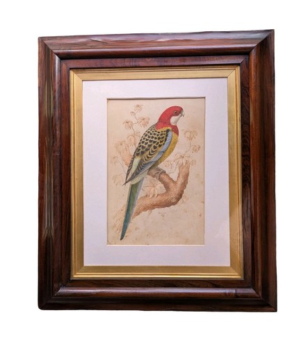 Quadro acquerello xix - quadro,