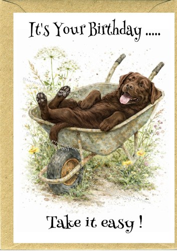 Biglietto compleanno labrador - biglietto,