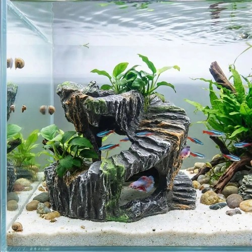 Decorazione acquario terrario - acquario,