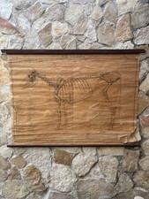 Tavola Parietale Vintage