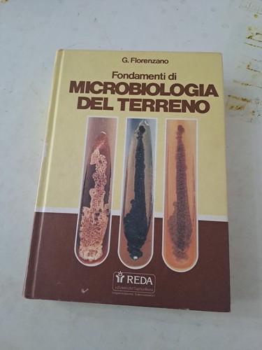 Florenzano elementi - florenzano, di