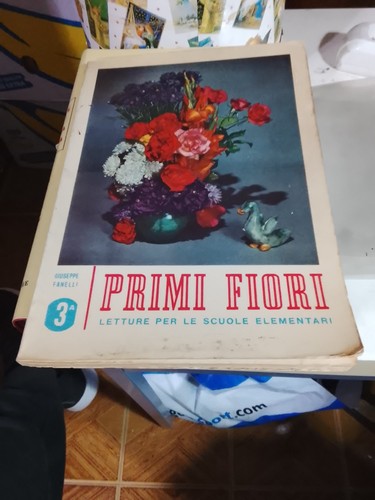 Libro giuseppe fanelli - libro,