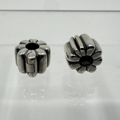 Pair pandora moments - pair,