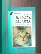 Gatto europeo mandaglio - il,