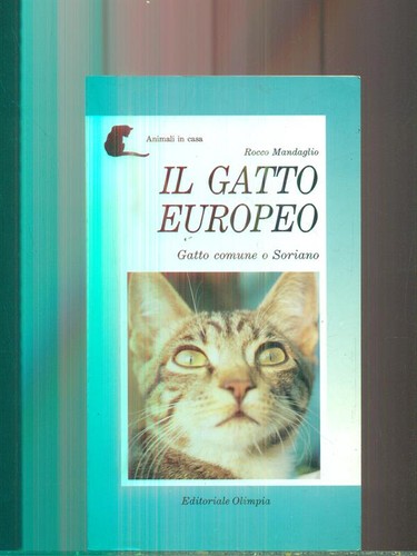 Gatto europeo mandaglio - il,
