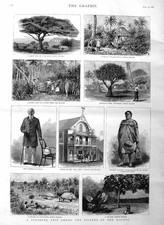 Vecchia stampa antica