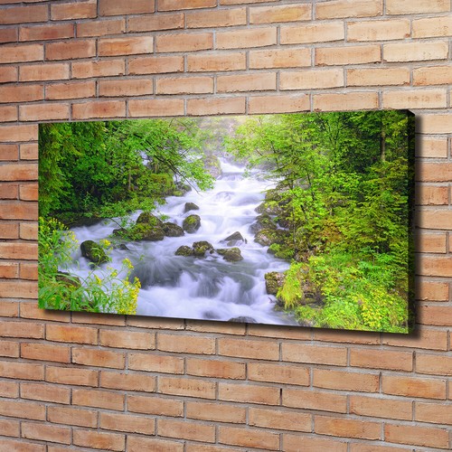 Quadro tela stampa - su,