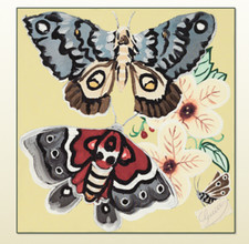 Sciarpa Gucci con confezione