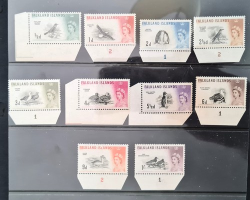 Isole falkland 1960 birds - 1960,