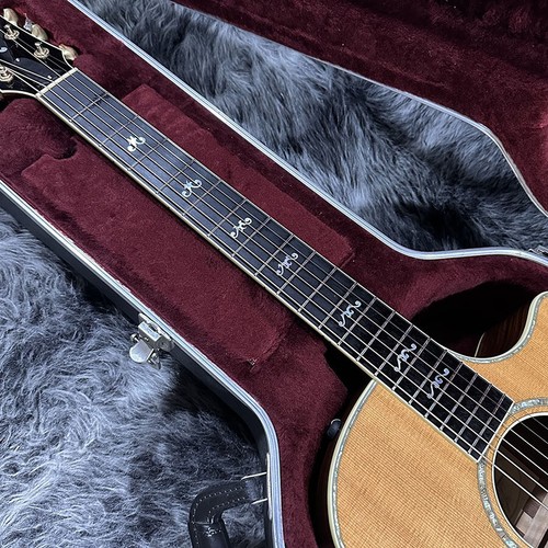 Taylor 914ce chitarra acustica - 914ce,