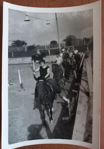 Foto epoca cavalli - d'epoca, ippodromo