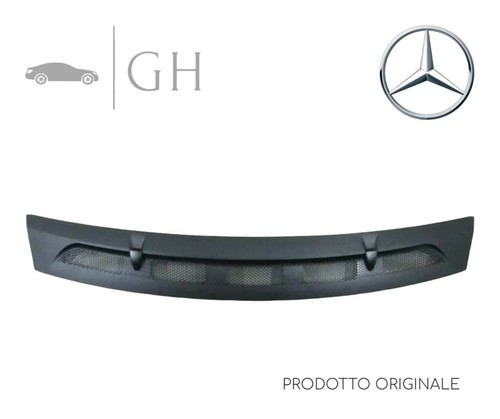 Modanatura griglia cofano - /,