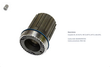 FULCRUM CORPETTO Corpetto RL