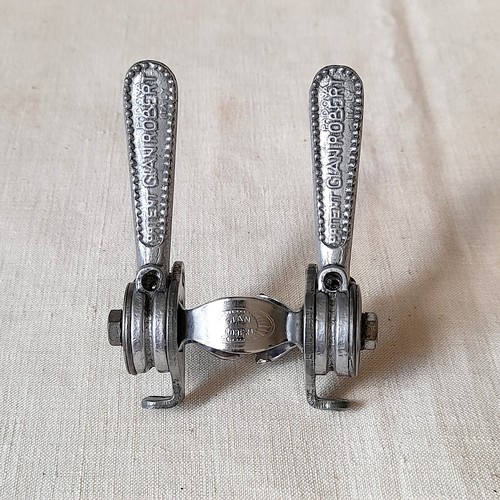 Gian robert downtube friction - robert,