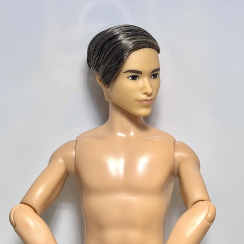 Nuova barbie ken fashionistas - nuova,