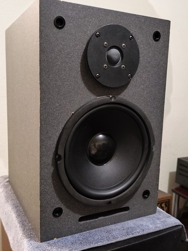 Altoparlanti monitor rls - altoparlanti,