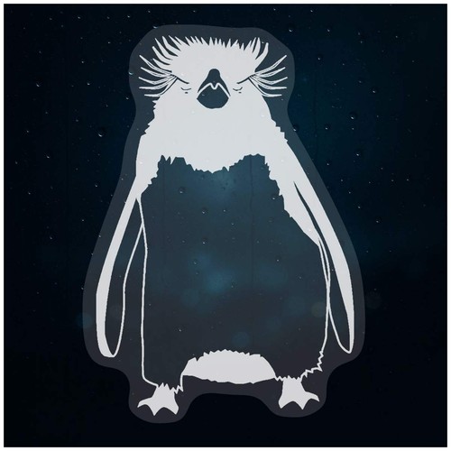 Rockhopper penguin - 'rockhopper, penguin'