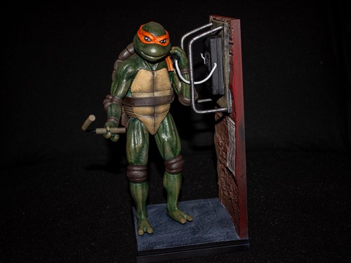 Teenage mutant ninja turtles - ninja,