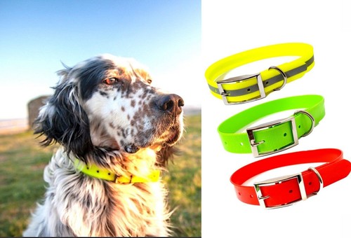 Collare per cane caccia - da,