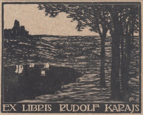 Exlibris incisione legno - ex, su