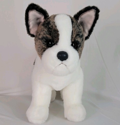 Douglas frenchy bulldog - douglas,