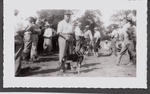 Milton tennessee hunting dogs - milton,