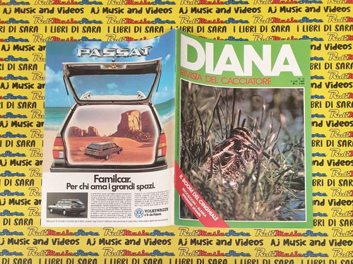 Rivista magazine del - rivista,