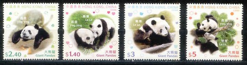 Hong kong 2008 a028 panda - hong,