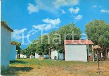 1971 ASCEA MARINA (SA) Bungalow al Villaggio Turistico ELEA T.C.F. Cartolina FG
