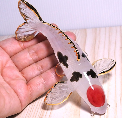Carp giapponese koi fish - carp,