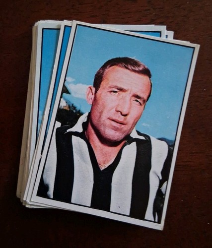 Calciatori panini 1965 - calciatori, 1965/66
