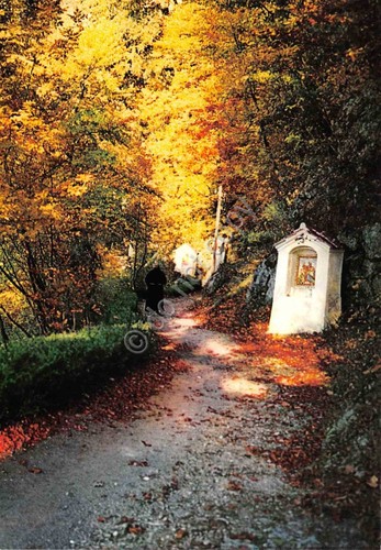 Cartolina piedimonte matese - cartolina,