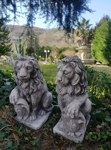 Leone leoni leoncini da - leone,